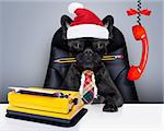 office businessman french bulldog dog  as  boss and chef , with typewriter as a secretary,  sitting on leather chair and desk, in need for vacation, on christmas holidays with santa claus hat