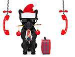 office businessman french bulldog dog with pen or pencil in mouth with bag or suitcase isolated on white background, on christmas holidays vacation with santa claus hat and telephones hanging