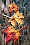 berries of cranberries and a wooden spoon on a maple leaf on a wooden background