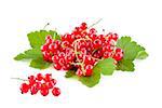 Red currants isolated on white, bunch of fresh fruits