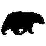 black vector bear silhouette for painting walking