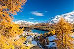 The alpine village of St. Moritz framed by colorful woods and the blue lake, Canton of Graubunden, Engadine, Switzerland, Europe