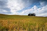 Clouds frame the gentle green hills of Val d'Orcia, UNESCO World Heritage Site, Province of Siena, Tuscany, Italy, Europe