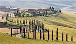 The road curves in the green hills surrounded by cypresses, Crete Senesi (Senese Clays), Province of Siena, Tuscany, Italy, Europe