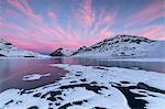 The frozen Lago Bianco framed by pink clouds at dawn, Bernina Pass, canton of Graubunden, Engadine, Switzerland, Europe