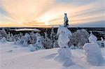 The sun frames the snowy landscape and woods in the cold arctic winter, Ruka, Kuusamo, Ostrobothnia region, Lapland, Finland, Europe