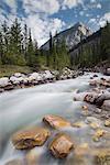 Rampart Creek in Banff National Park, UNESCO World Heritage Site, Alberta, Rocky Mountains, Canada, North America