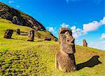 Moais at the quarry on the slope of the Rano Raraku Volcano, Rapa Nui National Park, UNESCO World Heritage Site, Easter Island, Chile, South America