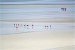 People walking on the sand during low tide, Mont-Saint-Michel, Normandy, France, Europe