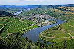 Moselle Valley near Mehring, Rhineland-Palatinate, Germany, Europe