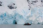 Tourists at the edge of ice shelf, Skontorp Cove, Paradise Bay, Antarctica, Polar Regions