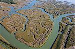 Aerial view of marshland.