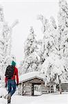 Rear view of man walking towards log cabin in forest with snow-covered trees.