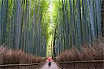 Rear view of woman carrying red traditional umbrella walking along a path lined with tall bamboo trees.