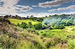 A steam locomotive at Darnholme on the North Yorkshire Railway line travelling from Whitby to Pickering, Yorkshire, England, United Kingdom, Europe