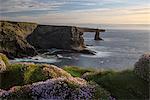 Loop Head, County Clare, Munster, Republic of Ireland, Europe