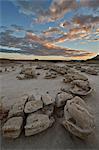 Egg Factory at dawn, Bisti Wilderness, New Mexico, United States of America, North America