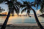 Anse Government beach, Praslin, Republic of Seychelles, Indian Ocean, Africa