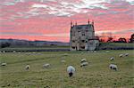 Banqueting House of Campden House and sheep at sunset, Chipping Campden, Cotswolds, Gloucestershire, England, United Kingdom, Europe