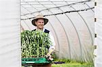 Farmer in polytunnel carrying tray of plants