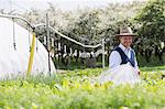 Farmer watering plants with hosepipe