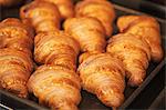 Close up of tray of freshly baked croissants in a bakery.