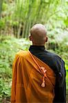 Rear view of Buddhist monk with shaved head wearing black and yellow robe, standing outdoors.