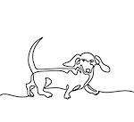 Continuous line drawing. Dog dachshund running. Vector illustration