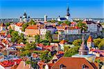 Tallinn, Estonia old city skyline.