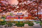 Uji, Kyoto, Japan at Byodoin Temple during autumn season.