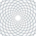 Abstract rotation circular lines pattern. Vector art.