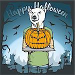 Vector illustration of white bear celebrating Halloween. Bear with Halloween pumpkin