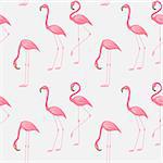 Vector illustration seamless pattern of a pink flamingo. Background with bird flamingos