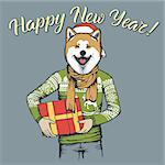 Akita dog vector Christmas concept. Illustration of dog  in human sweatshirt with gift in his hads celebrating new year