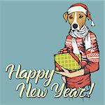 Russell Terrier Dog vector Christmas concept. Illustration of dog  in human sweatshirt with gift in his hads celebrating new year