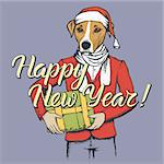 Russell Terrier Dog vector Christmas concept. Illustration of dog  in human suit with gift in his hads celebrating new year