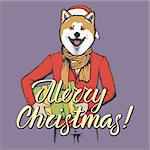Akita dog vector Christmas concept. Illustration of dog  in human suit with gift in his hads celebrating new year