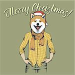 Akita dog vector Christmas concept. Illustration of dog  in human shirt celebrating new year