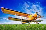 historic aircraft on a meadow against a blue sky