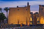 Avenue of Sphinxes, Luxor Temple, UNESCO World Heritage Site, Luxor, Egypt, North Africa, Africa