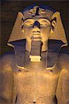 Colossi of Ramesses II in The First Court, Luxor Temple, UNESCO World Heritage Site, Luxor, Egypt, North Africa, Africa