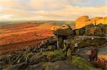 Higger Tor and Hathersage Moor, sunrise in autumn, Peak District National Park, Derbyshire, England, United Kingdom, Europe