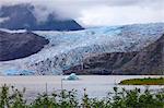 Mendenhall Glacier and Lake, with iceberg, bright blue ice, forest and mist, from Visitor Centre, Juneau, Alaska, United States of America, North America