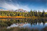 Pyramid Mountain reflected in a lake with autumn colour, Jasper National Park, UNESCO World Heritage Site, Canadian Rockies, Alberta, Canada, North America