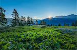 Brenta mountain range at sunrise, Rendena Valley, Trentino, Italy, Europe