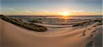 Sand dunes, grass, and driftwood at sunset on the Oregon coast, Oregon, United States of America, North America