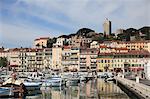 Harbor, Le Suquet, Old Town, Cannes, Alpes Maritimes, Cote d'Azur, Provence, French Riviera, France, Mediterranean, Europe