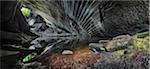 Inside a cave of molera stone, valle del lanza, Malnate, Varese province, Lombardy, Italy, Europe