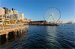 Seattle Great wheel on Pier 57 during the golden hour before sunset, Alaskan Way, Downtown, Seattle, Washington State, United States of America, North America