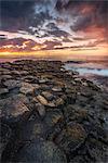 Giant's Causeway, County Antrim, Ulster region, northern Ireland, United Kingdom. Iconic basalt columns.